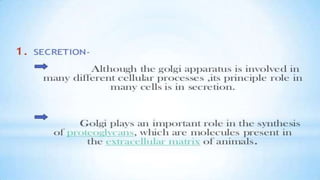 Endoplasmic reticulum