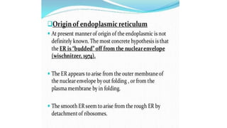 Endoplasmic reticulum