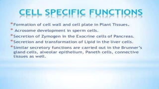 Endoplasmic reticulum
