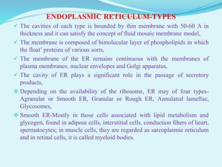 Endoplasmic Reticulum Patterns ENDOPLASMIC RETICULUM- STRUCTURE, TYPES, FUNCTION AND ABNORMALITIES | PDF