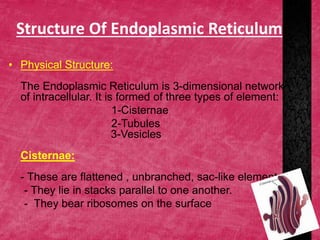 Structure Of Endoplasmic Reticulum
• Physical Structure:
The Endoplasmic Reticulum is 3-dimensional network
of intracellular. It is formed of three types of element:
1-Cisternae
2-Tubules
3-Vesicles
Cisternae:
- These are flattened , unbranched, sac-like element.
- They lie in stacks parallel to one another.
- They bear ribosomes on the surface
 