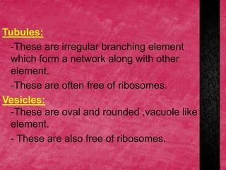Tubules:
-These are irregular branching element
which form a network along with other
element.
-These are often free of ribosomes.
Vesicles:
-These are oval and rounded ,vacuole like
element.
- These are also free of ribosomes.
 