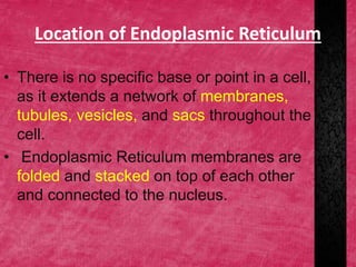 Location of Endoplasmic Reticulum
• There is no specific base or point in a cell,
as it extends a network of membranes,
tubules, vesicles, and sacs throughout the
cell.
• Endoplasmic Reticulum membranes are
folded and stacked on top of each other
and connected to the nucleus.
 