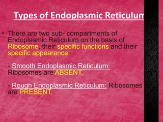 Types of Endoplasmic Reticulum:
• There are two sub- compartments of
Endoplasmic Reticulum on the basis of
Ribosome, their specific functions and their
specific appearance:
- Smooth Endoplasmic Reticulum:
Ribosomes are ABSENT.
- Rough Endoplasmic Reticulum: Ribosomes
are PRESENT.
 
