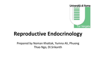 Reproductive Endocrinology
Prepared by Noman Khattak, Yumna Ali, Phuong
Thao Ngo, Dl.Srikanth
 