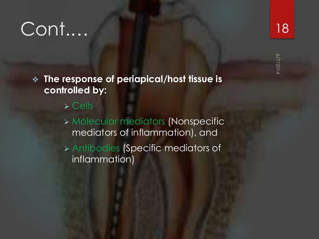 Rationals of endodontics best ppt