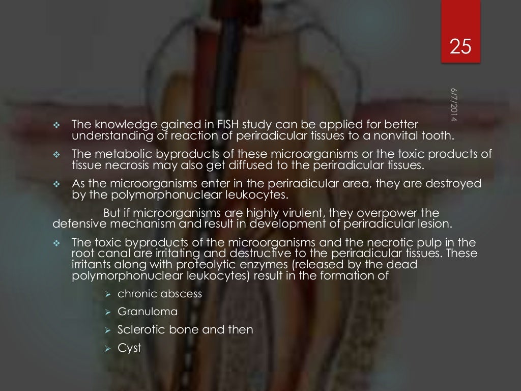 Rationals of endodontics best ppt