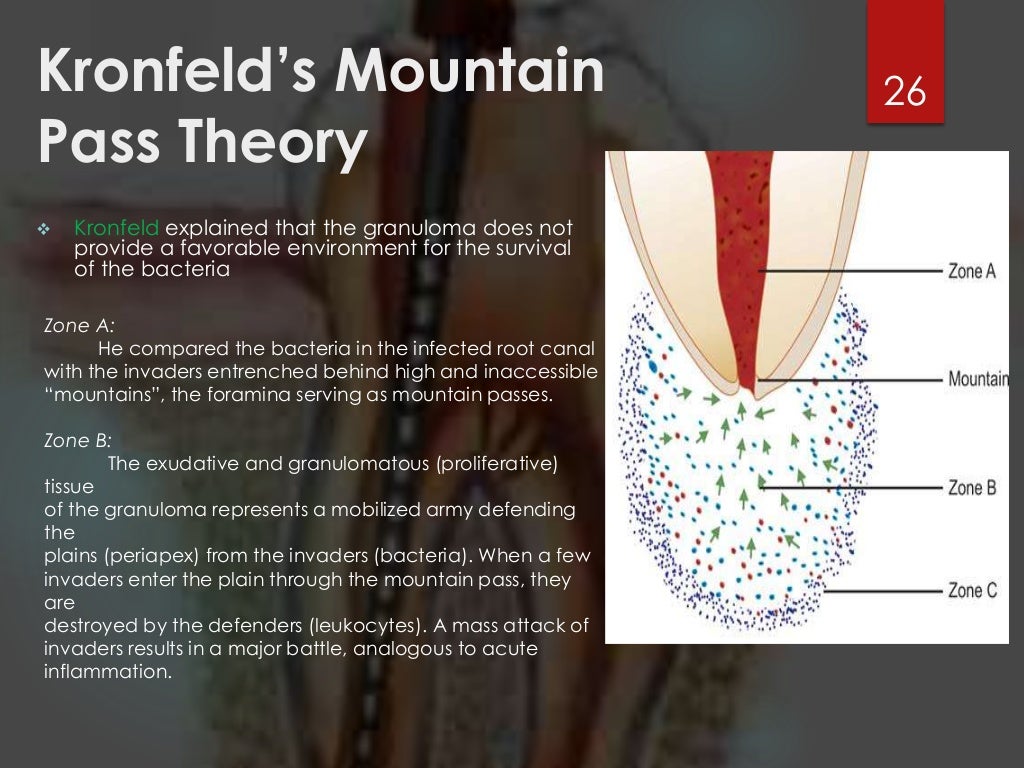 Rationals of endodontics best ppt