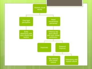 Assess visual
acuity
Only light
perception
Early
vitrectomy with
intra vitreal anti
biotics
Hand
movements
perceived
Vitreous tap
and culture
and intra vitreal
antibiotics
Improves
Doesnot
improve
Tap vitreous
and check
culture
Vitrectomy and
repeat culture
 