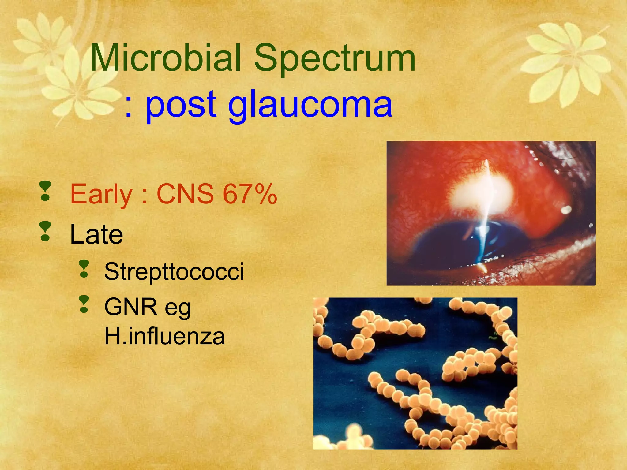 Microbial Spectrum
: post glaucoma
 Early : CNS 67%
 Late
 Strepttococci
 GNR eg
H.influenza

 