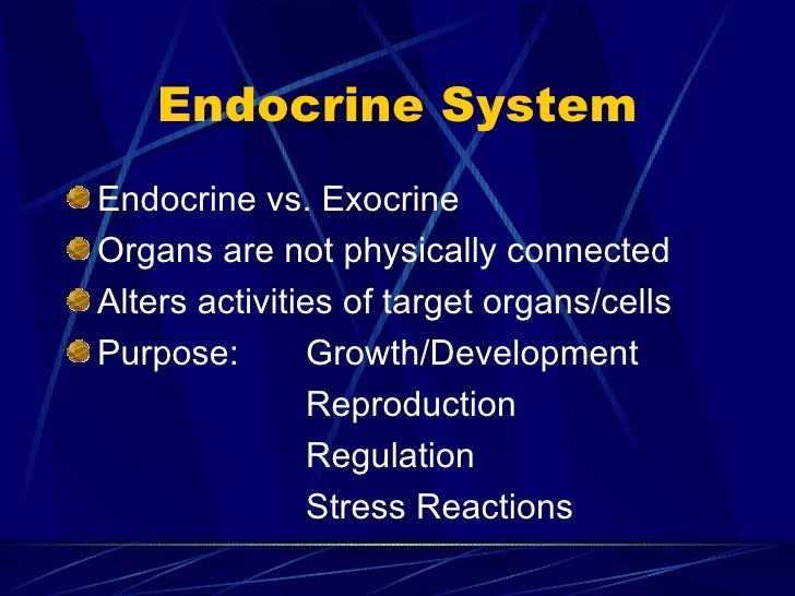 The Endocrine System