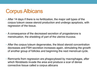 Endo Repro Anatomy and Histology | PPTX