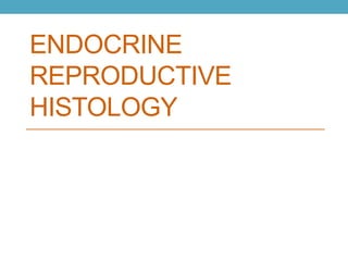 ENDOCRINE 
REPRODUCTIVE 
HISTOLOGY 
 