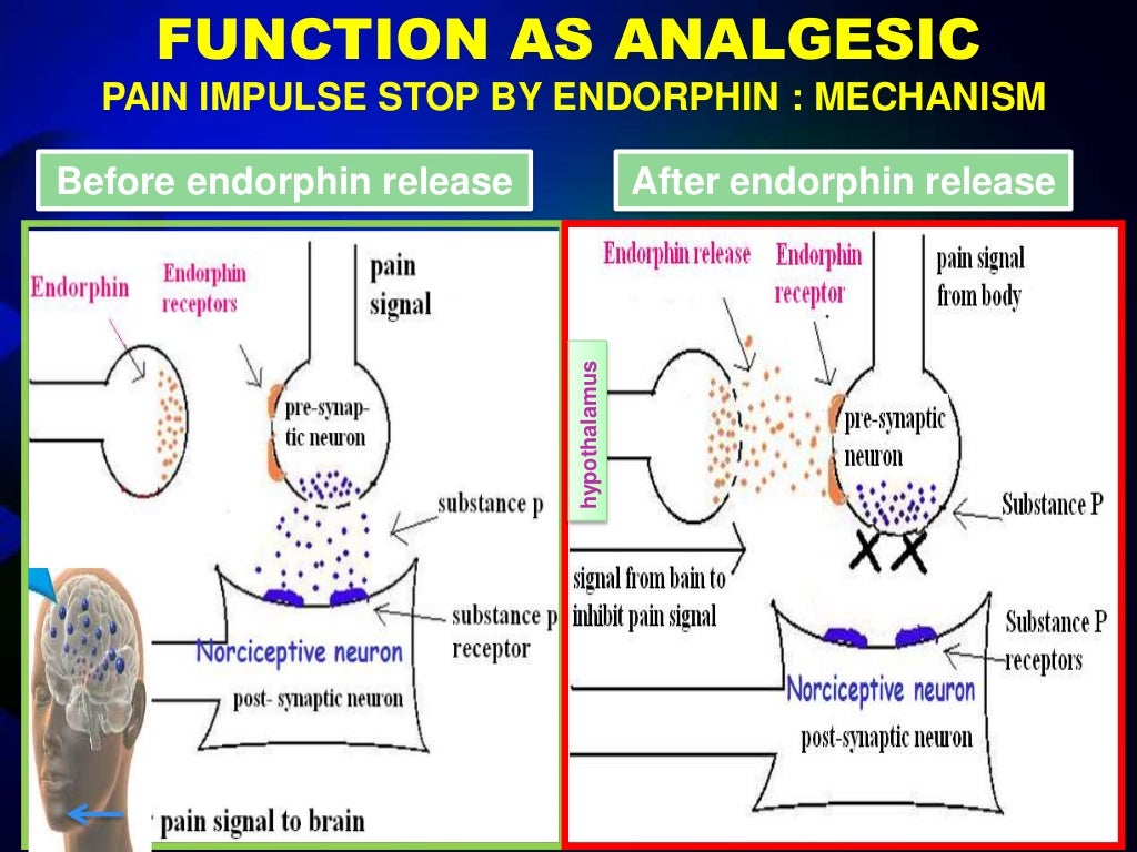endorphin pro vs alphafly