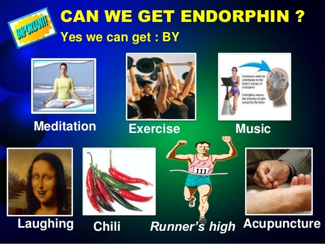 endorphin elite release date
