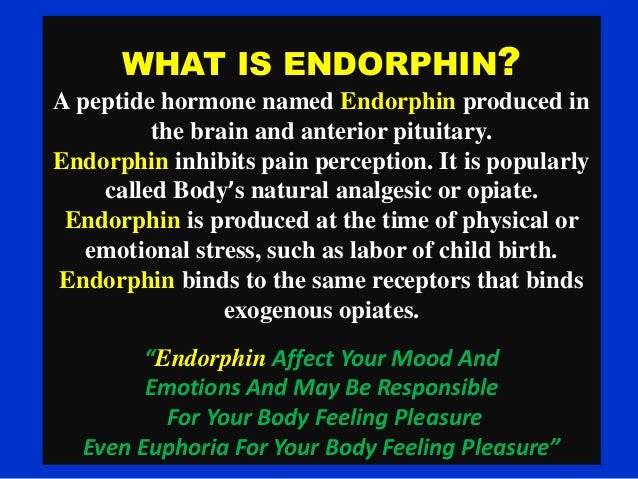 endorphin receptors