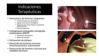 • Hemostasia de lesiones sangrantes
• Inyectoterapia con adrenalina
• Ligadura de varices esofágicos
• Inyeccion de cianocrilatos o sustancias
esclerosantes
• Electrocoagulacio
• Colangiopancreatografía retrógrada
endoscópica (ERCP)
• Instalacion de prótesis
• Retiro de cálculos
• Extirpación de pólipos
• Resección de lesiones mucosas
(mucosectomía) y submucosas
• Destrucción de lesiones mucosas por
métodos térmicos
Indicaciones
Terapéuticas
 