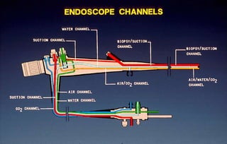 endoscope.Motion Sensor Interfacing with Microcontrollerppt | PPT