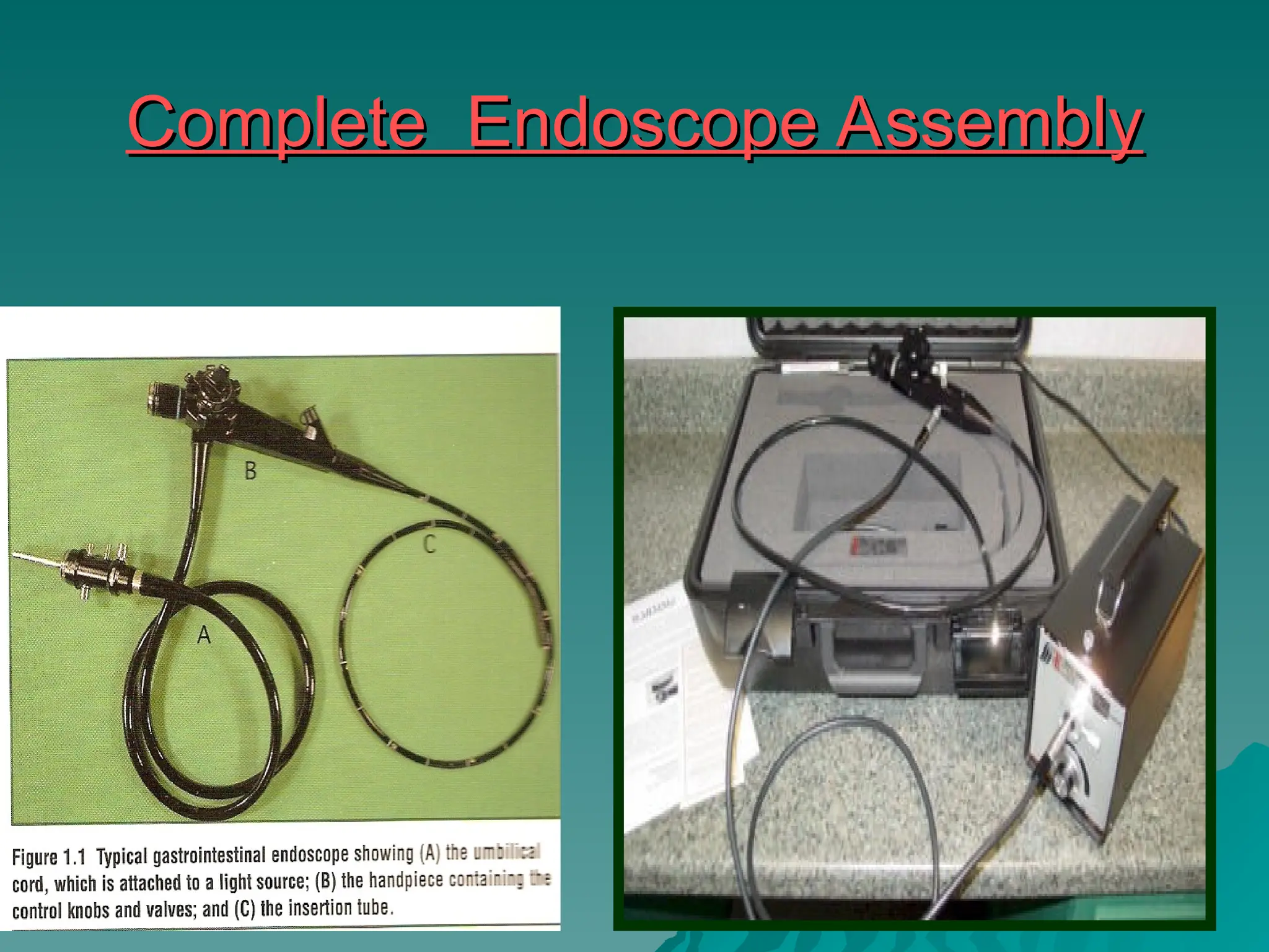 Complete Endoscope Assembly
Complete Endoscope Assembly
 