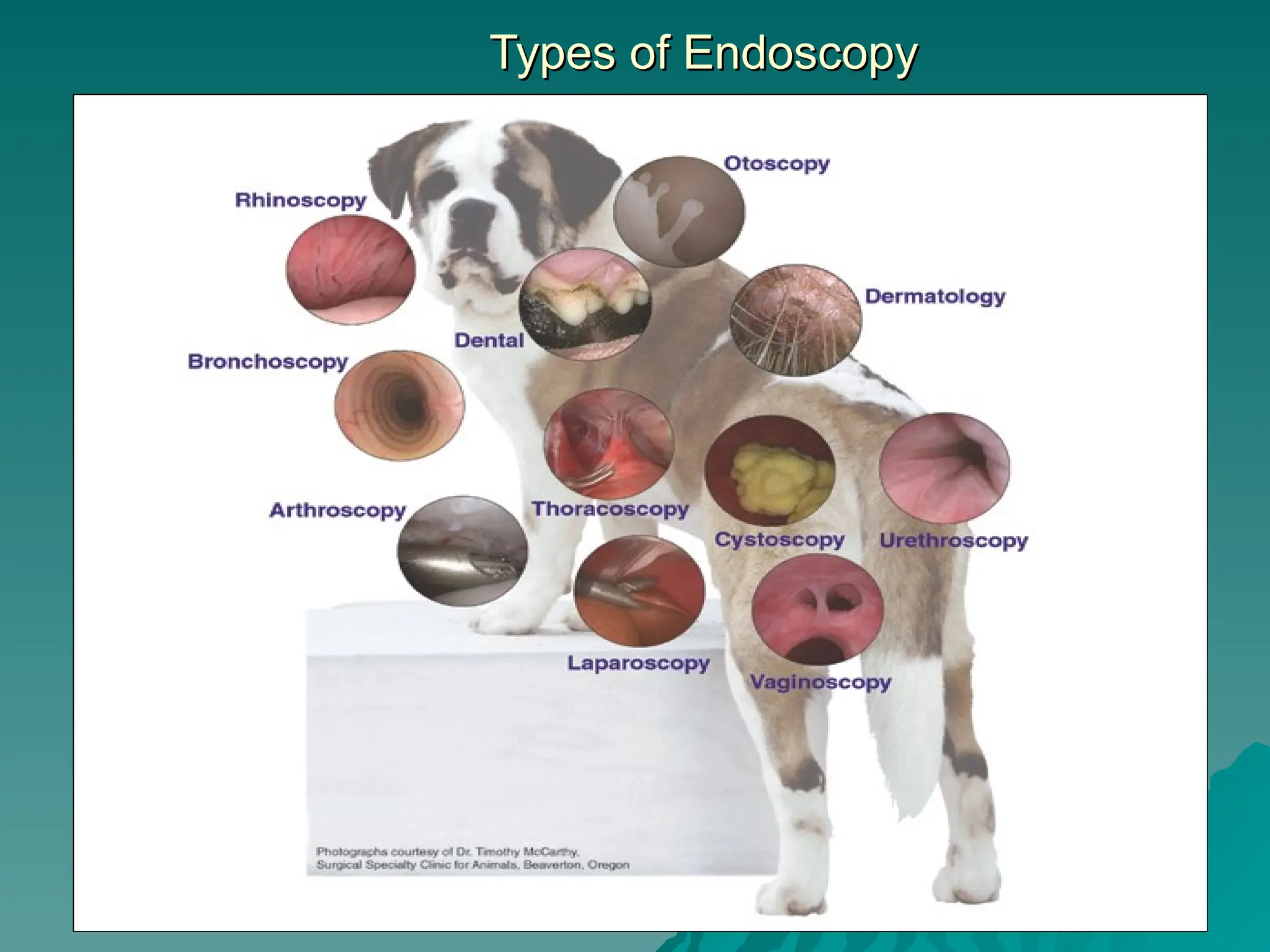 Types of Endoscopy
Types of Endoscopy
 