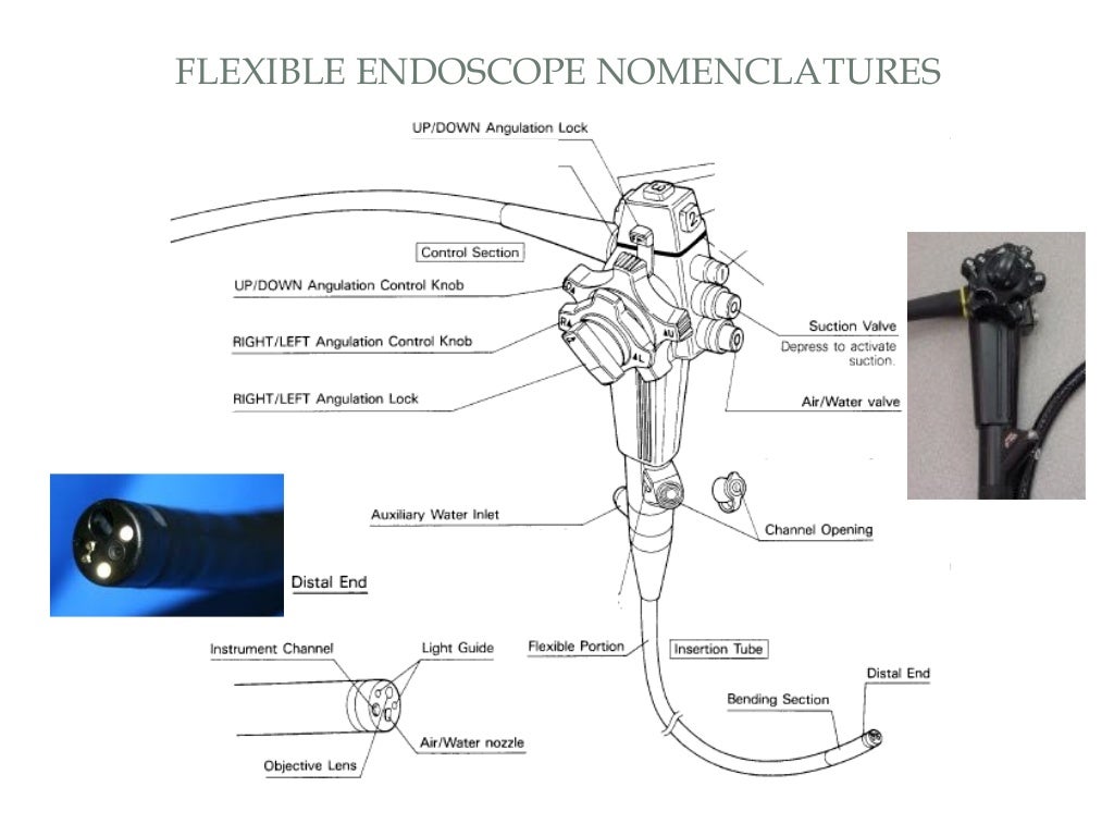 Endoscope InService