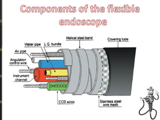 endoscopes presentation.pdf