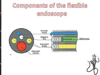 endoscopes presentation.pdf