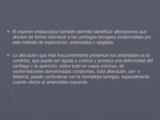 El examen endoscópico también permite identificar alteraciones que afecten de forma individual a los cartílagos laríngeos evidenciables por este método de exploración: aritenoides y epiglotis.  La alteración que más frecuentemente presentan los aritenoides es la condritis, que puede ser aguda o crónica y provoca una deformidad del cartílago y la aparición, sobre todo en casos crónicos, de neoformaciones denominadas condromas. Esta alteración, uni- o bilateral, puede confundirse con la hemiplejia laríngea, especialmente cuando afecta al aritenoides izquierdo.  