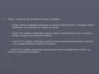 Tabla 1. Gradación de hemiplejia laríngea en caballos  Grado I Ambos cartílagos aritenoides se mueven simétricamente y consiguen abducir totalmente. La endoscopia en reposo es normal.  Grado II El cartílago aritenoides izquierdo abduce más lentamente que el derecho, aunque consigue una abducción máxima.  Grado III El cartílago aritenoides izquierdo abduce más lentamente que el -derecho y no consigue alcanzar la abducción máxima.  --Grado IV El cartílago aritenoides izquierdo permanece completamente inmóvil. La laringe es claramente asimétrica.  