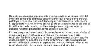 • Durante la endoscopia digestiva alta o gastroscopia se ve la superficie del
intestino, con lo que el médico puede diagnosticar directamente muchas
patologías. Es posible que le adelante algún resultado el día de la prueba.
El especialista hará un informe escrito que le entregarán a los pocos días de
la realización de la prueba, posiblemente junto con algunas fotos de
posibles hallazgos patológicos como pólipos o úlceras.
• En caso de que se hayan tomado biopsias, las muestras serán estudiadas al
microscopio por un patólogo y se hará un informe aparte con este
resultado. También puede que se hayan cogido muestras para un estudio
microbiológico de posibles infecciones intestinales. Esto dará lugar a un
tercer informe por parte de un especialista de microbiología. Todos estos
resultados pueden tardar varias semanas en estar disponibles.
 