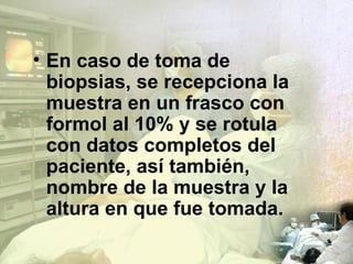 En caso de toma de biopsias, se recepciona la muestra en un frasco con formol al 10% y se rotula con datos completos del paciente, así también, nombre de la muestra y la altura en que fue tomada. 