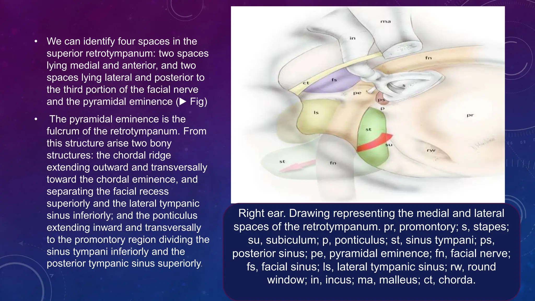 Ear Rotation Endoscopic anatomy of middle ear.jshpptx | PPTX