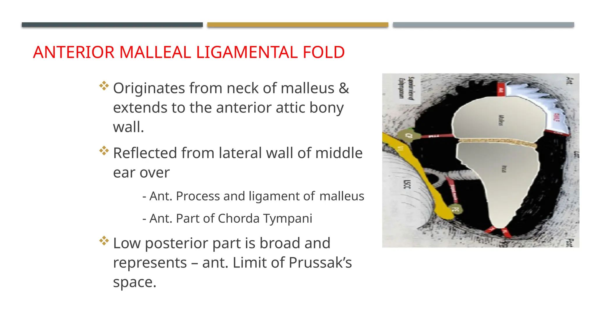 ENDOSCOPIC ANATOMY OF MIDDLE EAR CLEFT AND MUCOSAL FOLDS.pptx
