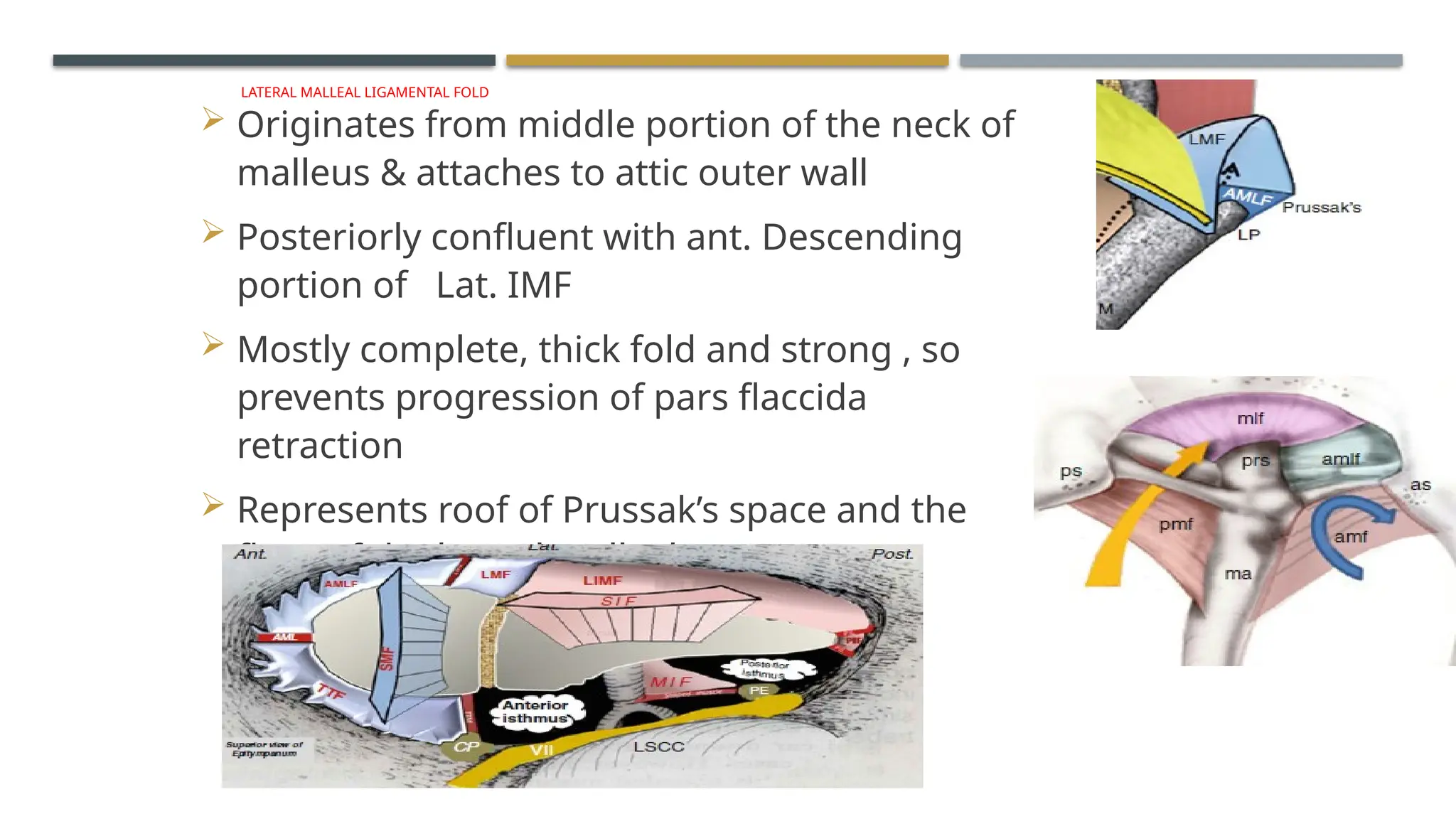 ENDOSCOPIC ANATOMY OF MIDDLE EAR CLEFT AND MUCOSAL FOLDS.pptx