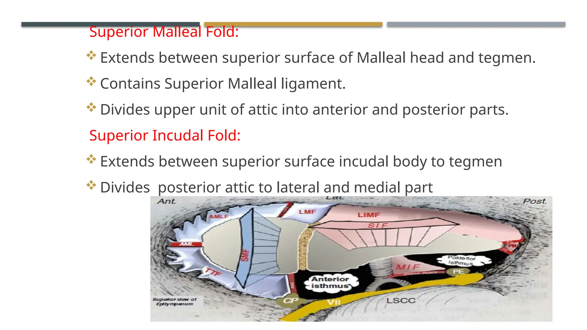 ENDOSCOPIC ANATOMY OF MIDDLE EAR CLEFT AND MUCOSAL FOLDS.pptx