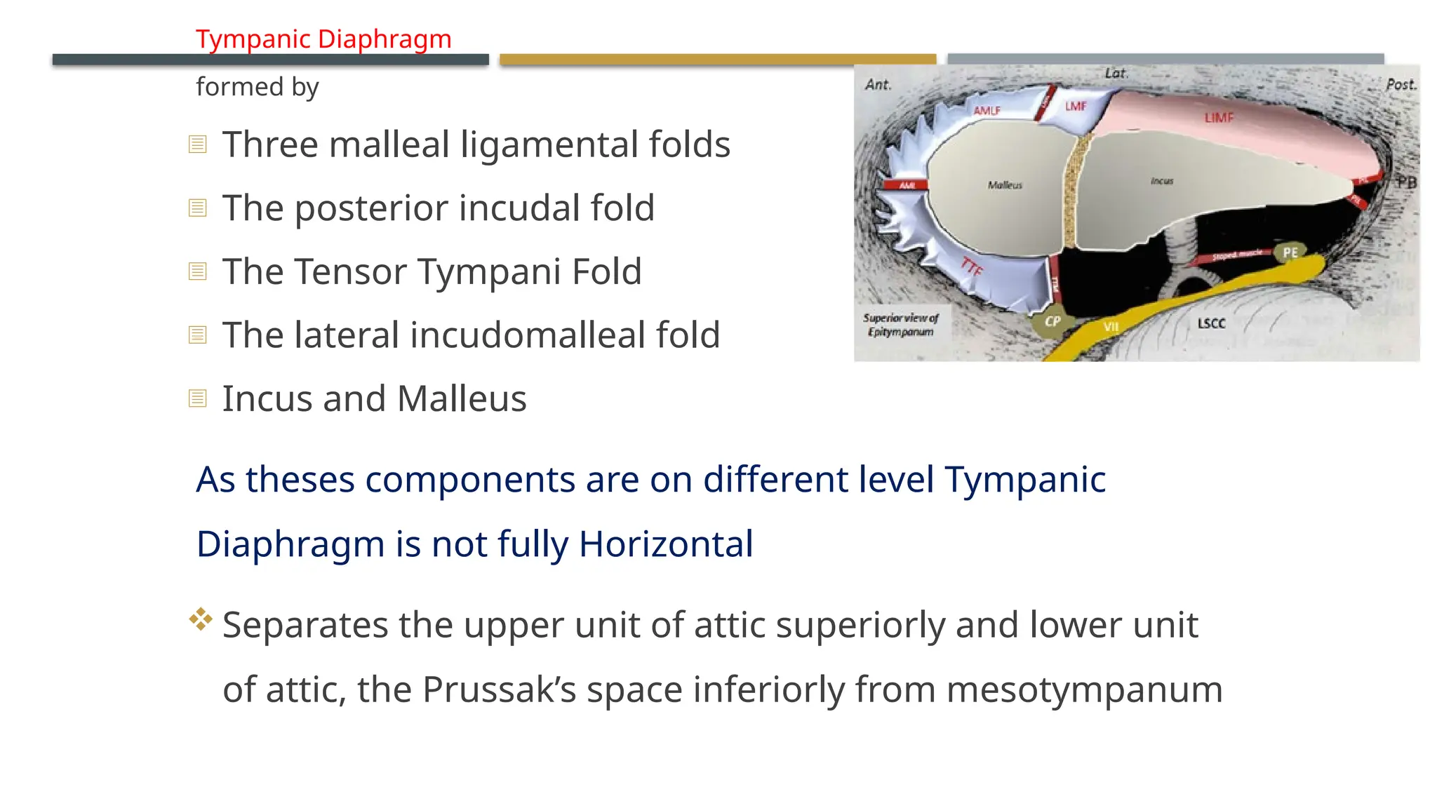 ENDOSCOPIC ANATOMY OF MIDDLE EAR CLEFT AND MUCOSAL FOLDS.pptx