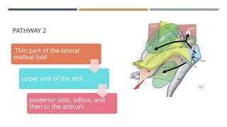 ENDOSCOPIC ANATOMY OF MIDDLE EAR CLEFT AND MUCOSAL FOLDS.pptx