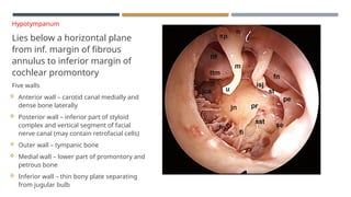ENDOSCOPIC ANATOMY OF MIDDLE EAR CLEFT AND MUCOSAL FOLDS.pptx
