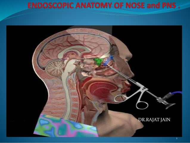 Endoscopic anatomy of nose ,paranasal sinus and anterior skull base