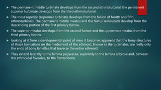 Endoscopic anatomy of paranasal sinuses | PPTX