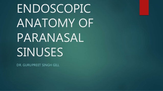Endoscopic Anatomy Of Paranasal Sinuses