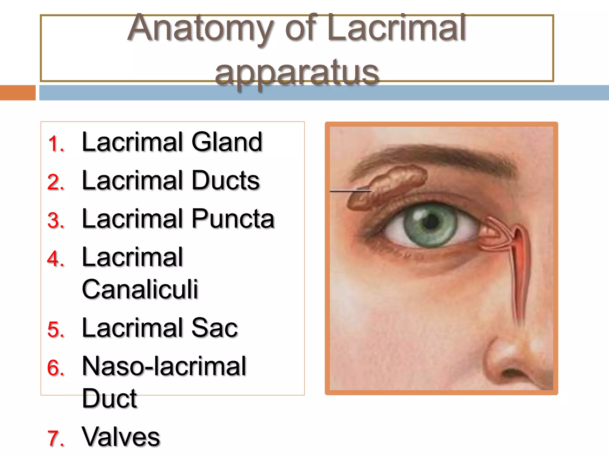 Endoscopic (DCR) Dacryocystorhinostomy PPT