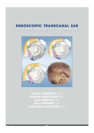 Endoscopic ear anatomy & Dissection