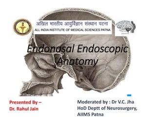 Endonasal Endoscopic
Anatomy
Presented By –
Dr. Rahul Jain
Moderated by : Dr V.C. Jha
HoD Deptt of Neurosurgery,
AIIMS Patna
 