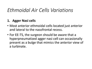 Ethmoidal Air Cells Variations
1. Agger Nasi cells
• Most anterior ethmoidal cells located just anterior
and lateral to the nasofrontal recess.
• For EE-TS, the surgeon should be aware that a
hyperpneumatized agger nasi cell can occasionally
present as a bulge that mimics the anterior view of
a turbinate.
 