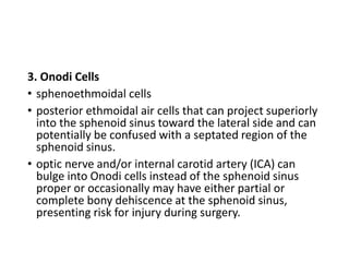 3. Onodi Cells
• sphenoethmoidal cells
• posterior ethmoidal air cells that can project superiorly
into the sphenoid sinus toward the lateral side and can
potentially be confused with a septated region of the
sphenoid sinus.
• optic nerve and/or internal carotid artery (ICA) can
bulge into Onodi cells instead of the sphenoid sinus
proper or occasionally may have either partial or
complete bony dehiscence at the sphenoid sinus,
presenting risk for injury during surgery.
 