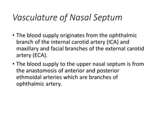 Vasculature of Nasal Septum
• The blood supply originates from the ophthalmic
branch of the internal carotid artery (ICA) and
maxillary and facial branches of the external carotid
artery (ECA).
• The blood supply to the upper nasal septum is from
the anastomosis of anterior and posterior
ethmoidal arteries which are branches of
ophthalmic artery.
 