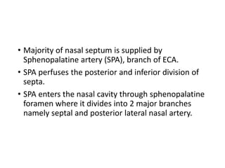 • Majority of nasal septum is supplied by
Sphenopalatine artery (SPA), branch of ECA.
• SPA perfuses the posterior and inferior division of
septa.
• SPA enters the nasal cavity through sphenopalatine
foramen where it divides into 2 major branches
namely septal and posterior lateral nasal artery.
 