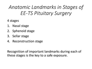 Anatomic Landmarks in Stages of
EE-TS Pituitary Surgery
4 stages
1. Nasal stage
2. Sphenoid stage
3. Sellar stage
4. Reconstruction stage
Recognition of important landmarks during each of
these stages is the key to a safe exposure.
 