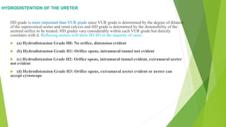 Endoscopic injection in VUR | PPT